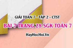 Giải bài 7 trang 28 Toán 7 Tập 2 SGK Chân trời sáng tạo